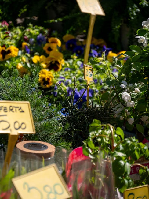 A vibrant display of fresh flowers at Maida Vale Florist, showcasing yellow and purple pansies, white blossoms, and green foliage arranged in glass containers and pots. The flowers are densely packed,